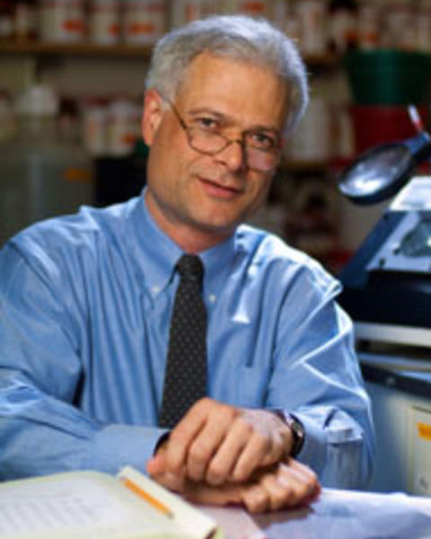 Alan David D'Andrea