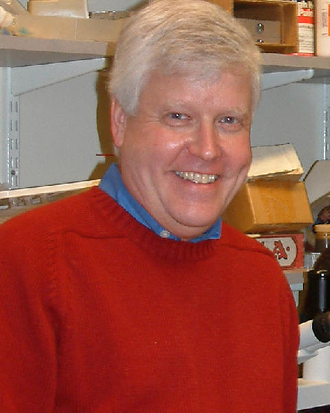 Photo of Lee Gehrke