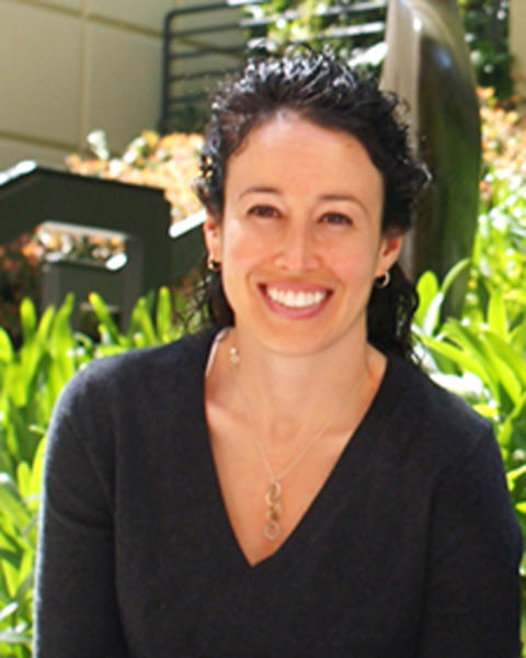 Photo of Cigall Kadoch