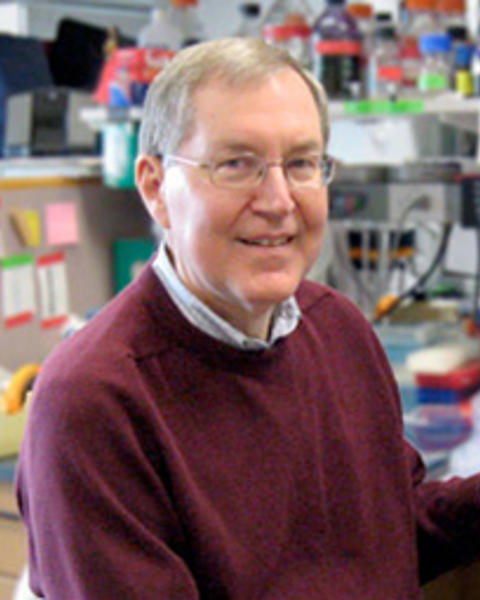 Photo of David Knipe