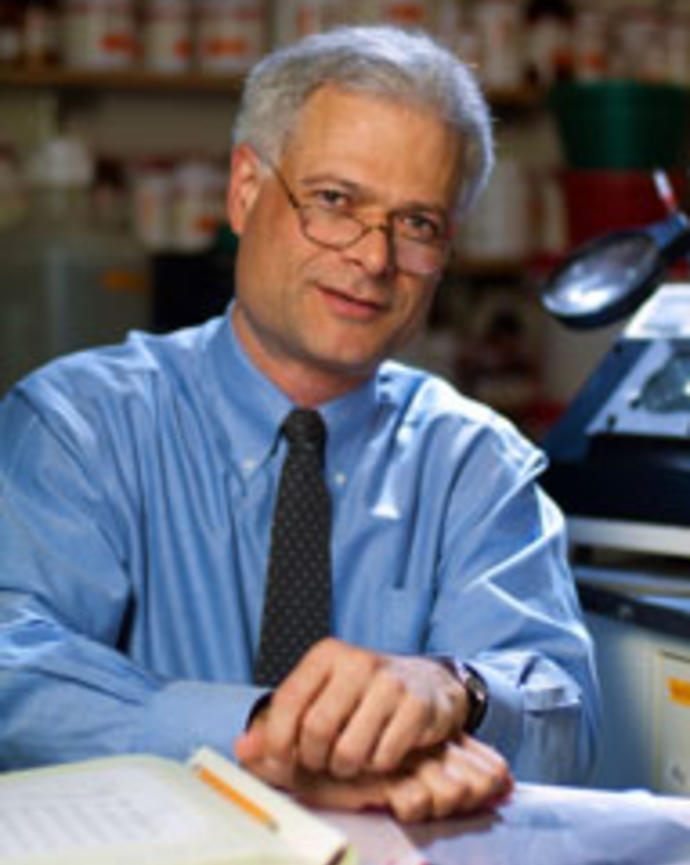 Alan D'Andrea